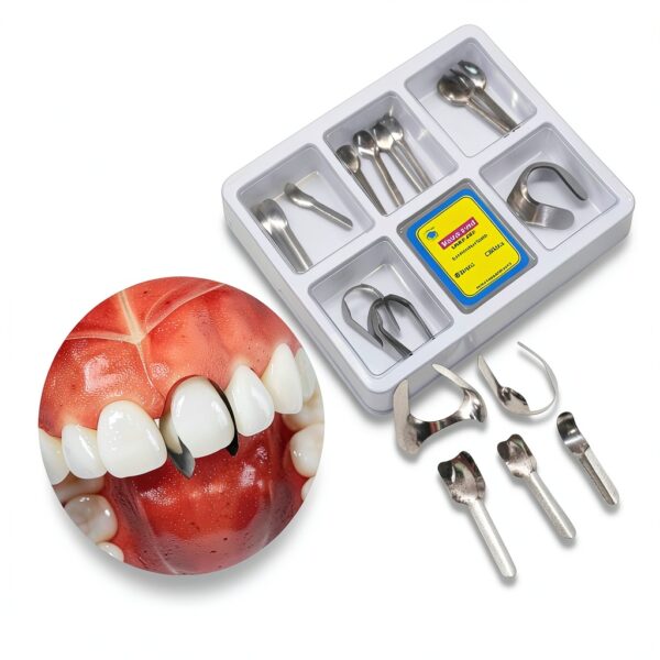 Shanghai Shuodi Orthodontic Matrix Bands Autoclavable Dental-4