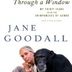 Kindle eBook Gombe Chimpanzee Mariner Books 50th-0